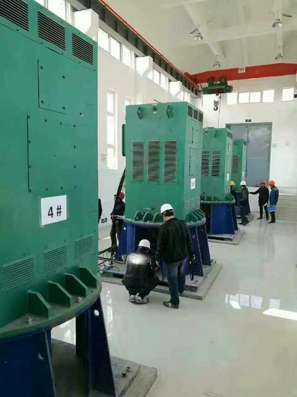 黄石港某污水处理厂使用我厂的立式高压电机安装现场